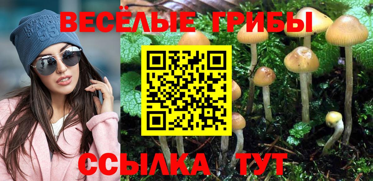 Евпатория  Псилоцибиновые грибы мицелий  Галлюциногенные грибы Magic Shrooms  Вход с VPN 